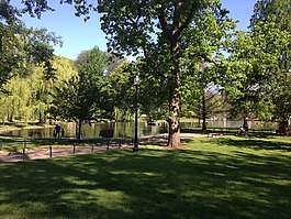 公園,波士頓,湖