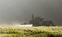 農業,破壞雜草,病蟲害防治