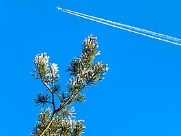 天空,藍(lán)色,冬天