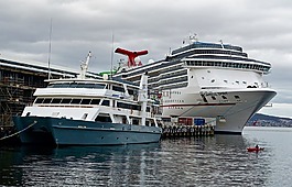 海港,巡航船,船只