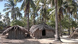 手掌,旅行,旅游