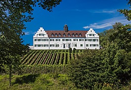 城堡,hersberg,博登湖