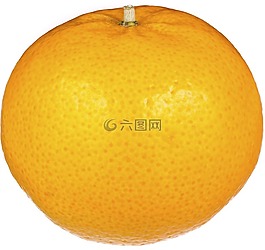 橙色,水果,新鮮