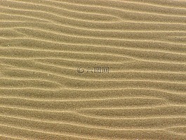 沙,結(jié)構(gòu),沙灘
