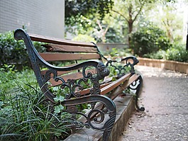 公園,小路,椅子