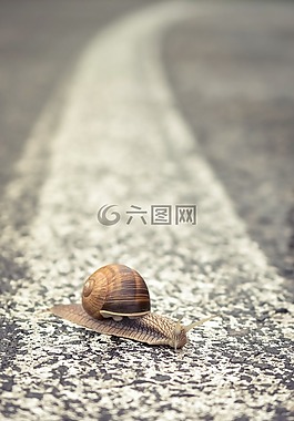 路,特寫,街