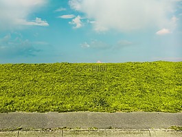 天空,質(zhì)地,綠色
