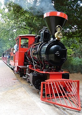 蒸汽機(jī)車,引擎,城堡公園karlsruhe