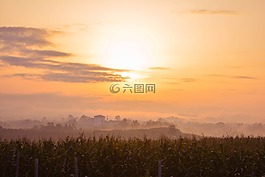 日出,田野,農村