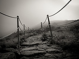 車道,黑色和白色,景觀