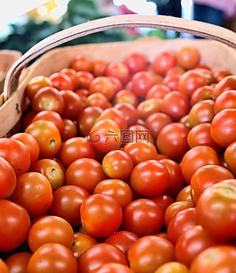 番茄,紅色,蔬菜