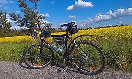 自行車,菜子,字段