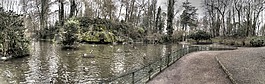 公共花園,st omer,鴨子