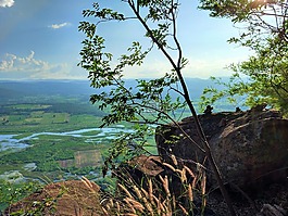 山,鮮花,天空