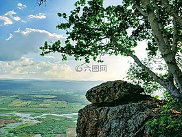 山,鮮花,天空