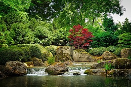 性質(zhì),水域,樹(shù)