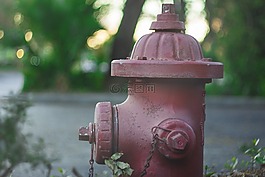 消防栓,红色,安全