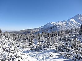 冬季,山,波蘭