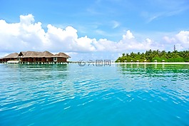 馬爾代夫,椰子樹,海