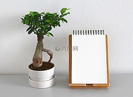 葉子,廠,經濟增長