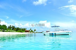 馬爾代夫,椰子樹,海
