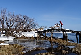 桥,潆,狗雪橇