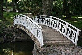 公園,橋,夏季
