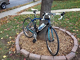 自行車,迷航,循環(huán)