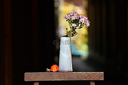 furukawa,鲜花,很快冬季