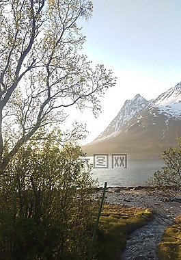 山,視圖,挪威