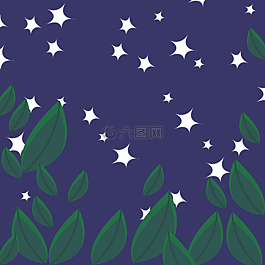 夜晚的天空,星星,晚上