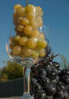 白葡萄,黑葡萄,玻璃