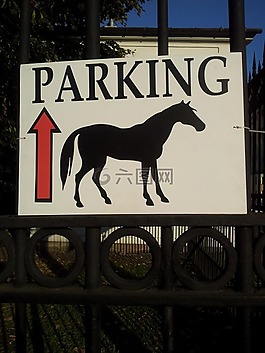 停車,跡象,馬