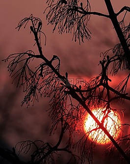 日落,性質(zhì),abendstimmung
