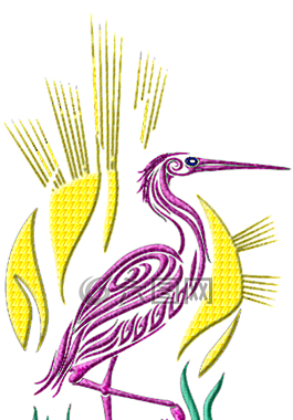 火烈鳥,鳥,自然