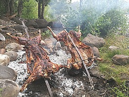 巴塔哥尼亞,烤,羊肉