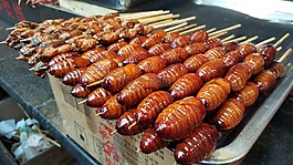 幼蟲,中國食品,自然