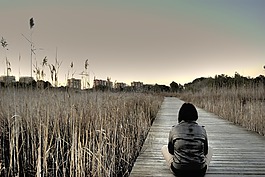 觀看,徒步旅行,反光看