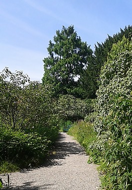 黑森,weinheim,公园
