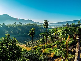 景观,山,泰国北部