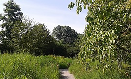 黑森,weinheim,公园