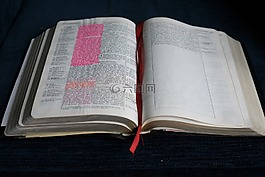 圣經(jīng),開放,書