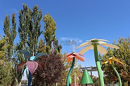 來源,水,水舞者