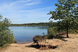 reindersmeer,maasduinen,荷蘭