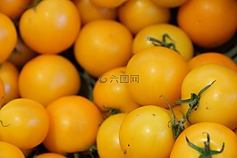 蕃茄,健康,黃色