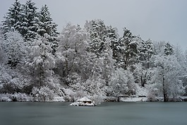 冬天,雪,弗羅斯特