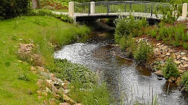 公園,水,橋