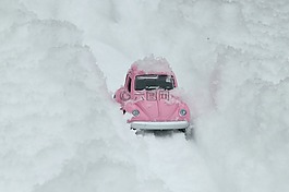 bug,大眾,汽車(chē)