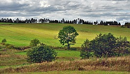 太阳,视图,山
