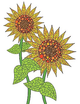 向日葵,花,盛開